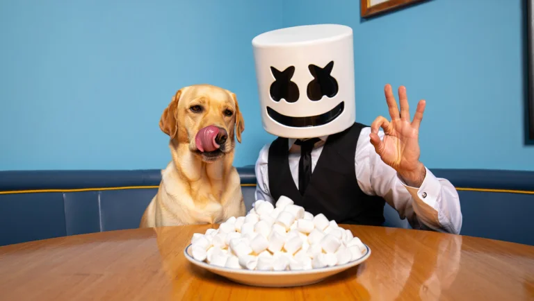 Can Dogs Eat Marshmallows