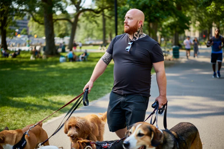 Dog Walking Jobs
