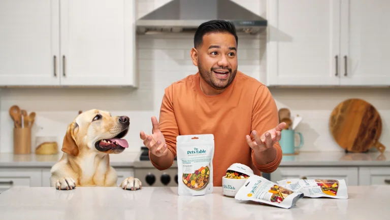 the pets table