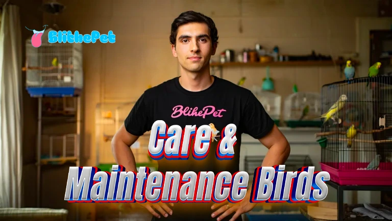 Care & Maintenance Birds