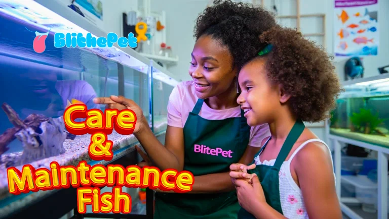 Care & Maintenance Fish