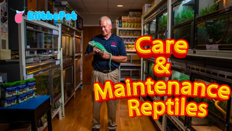 Care & Maintenance Reptiles