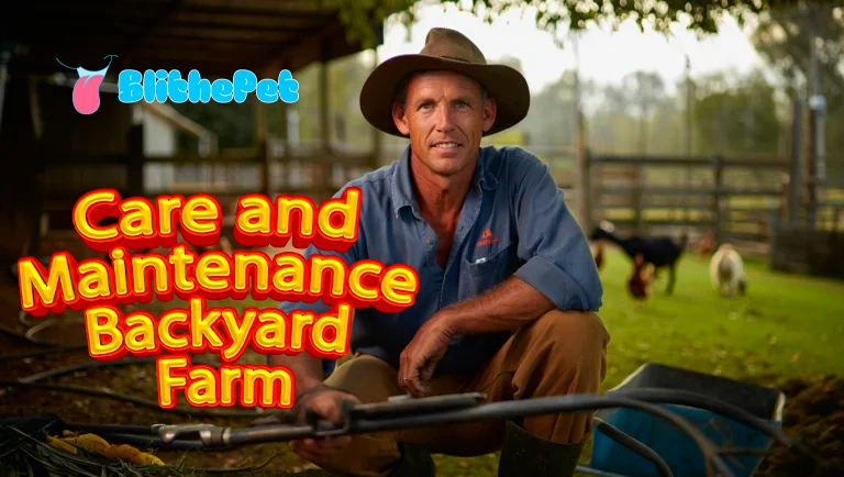 Care and Maintenance Backyard Farm
