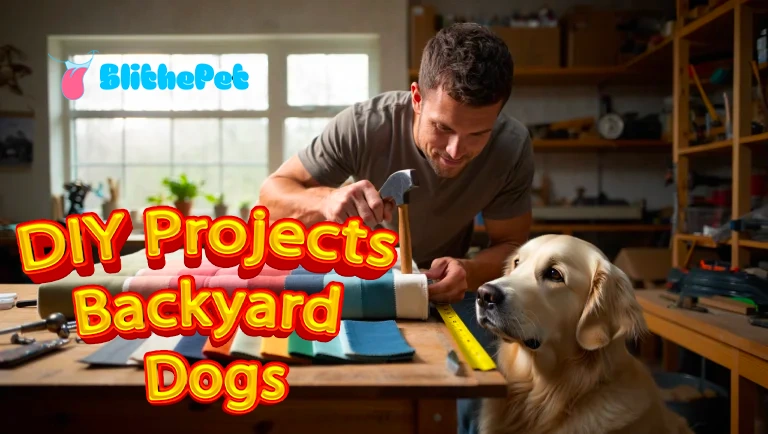 DIY Projects Dogs