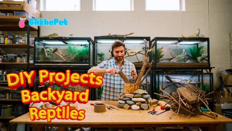 DIY Projects Reptiles