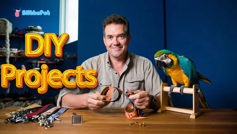 DIY Projects