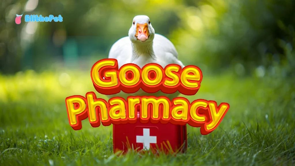 Goose Pharmacy