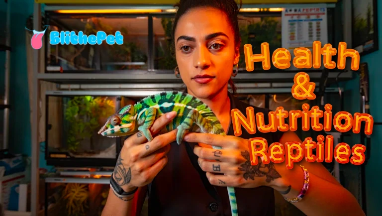 Health & Nutrition Reptiles