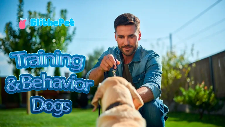 Training & Behavior Dogs