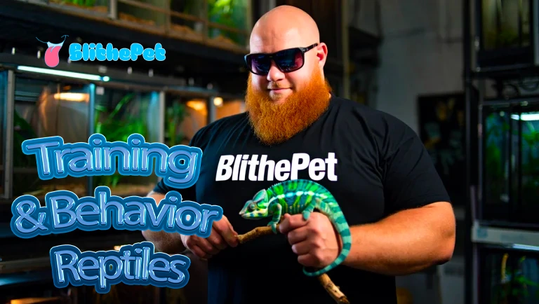 Training & Behavior Reptiles