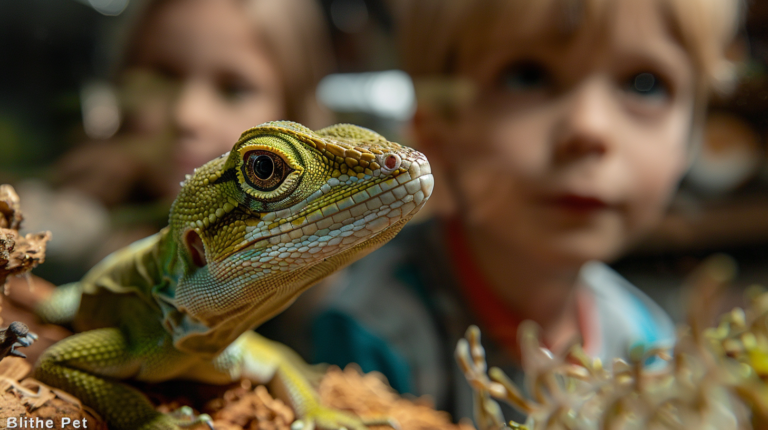 Green Anole lizard in terrarium with family safely observing, demonstrating these reptiles are non-poisonous household pets